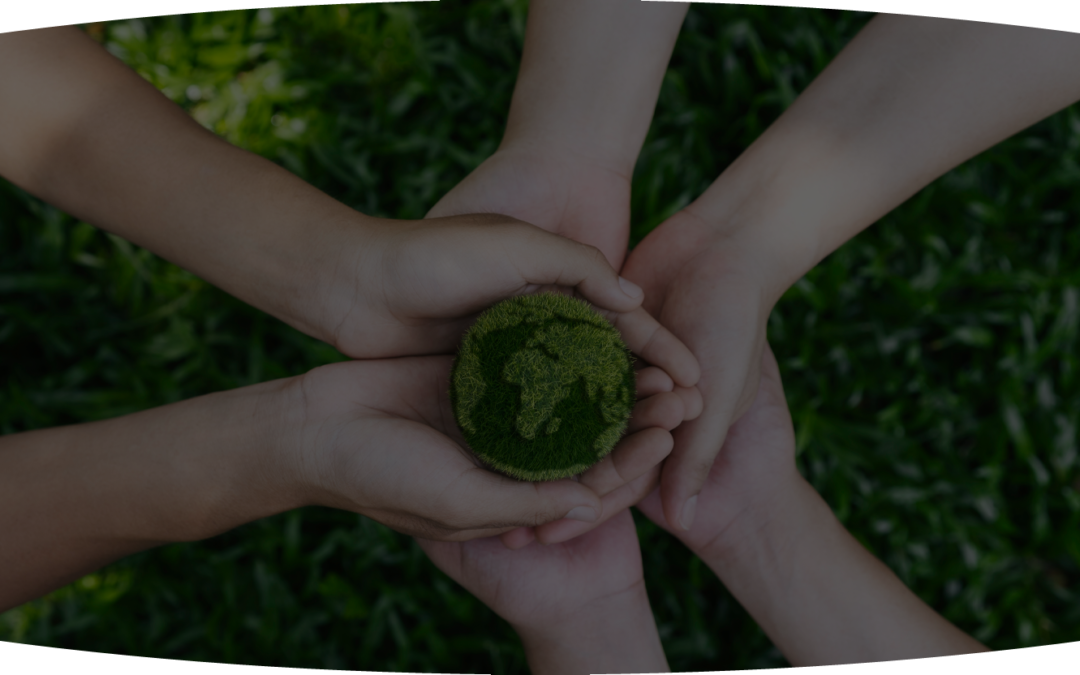 Meet EcoWise, LLC: Sustainability In Action