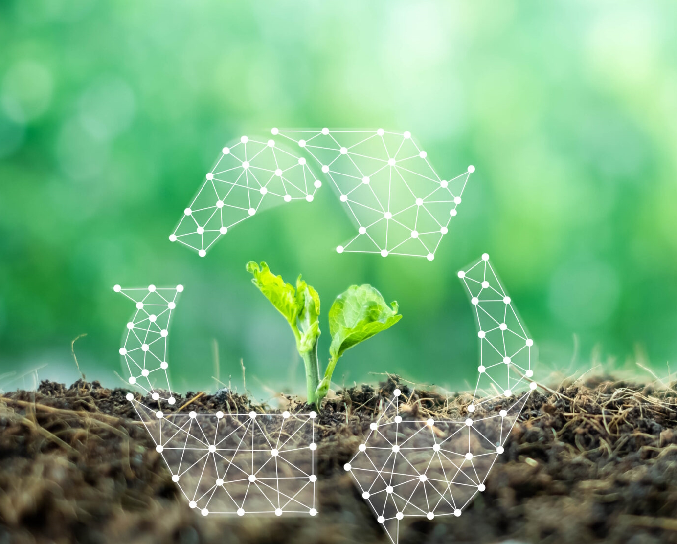 EcoWise Depackaging: Sustainable Packaging Solutions